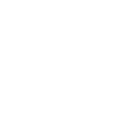 Vercon AI